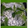 山西珍珠巖顆粒 山西珍珠巖散料 山西珍珠巖廠 山西珍珠巖價(jià)格